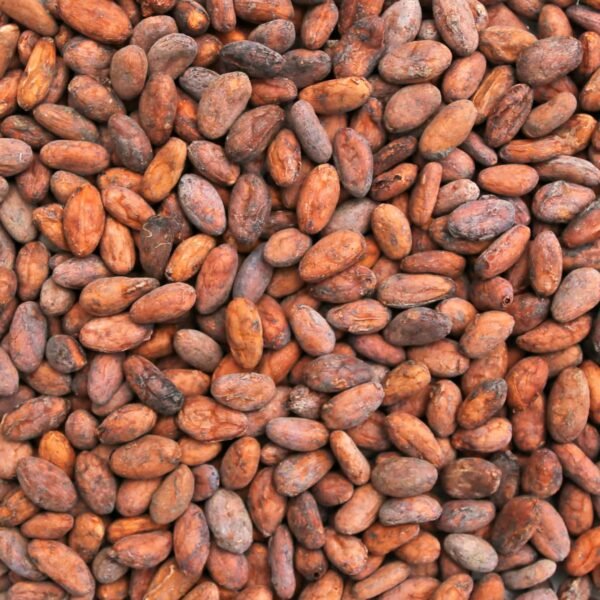 Cocoa Beans