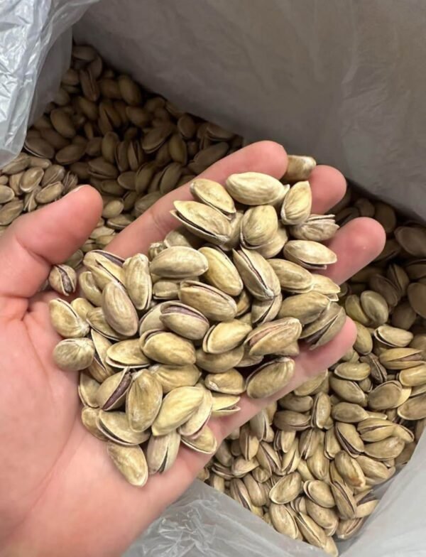 pistachio nuts